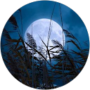 Priya Priya profile picture